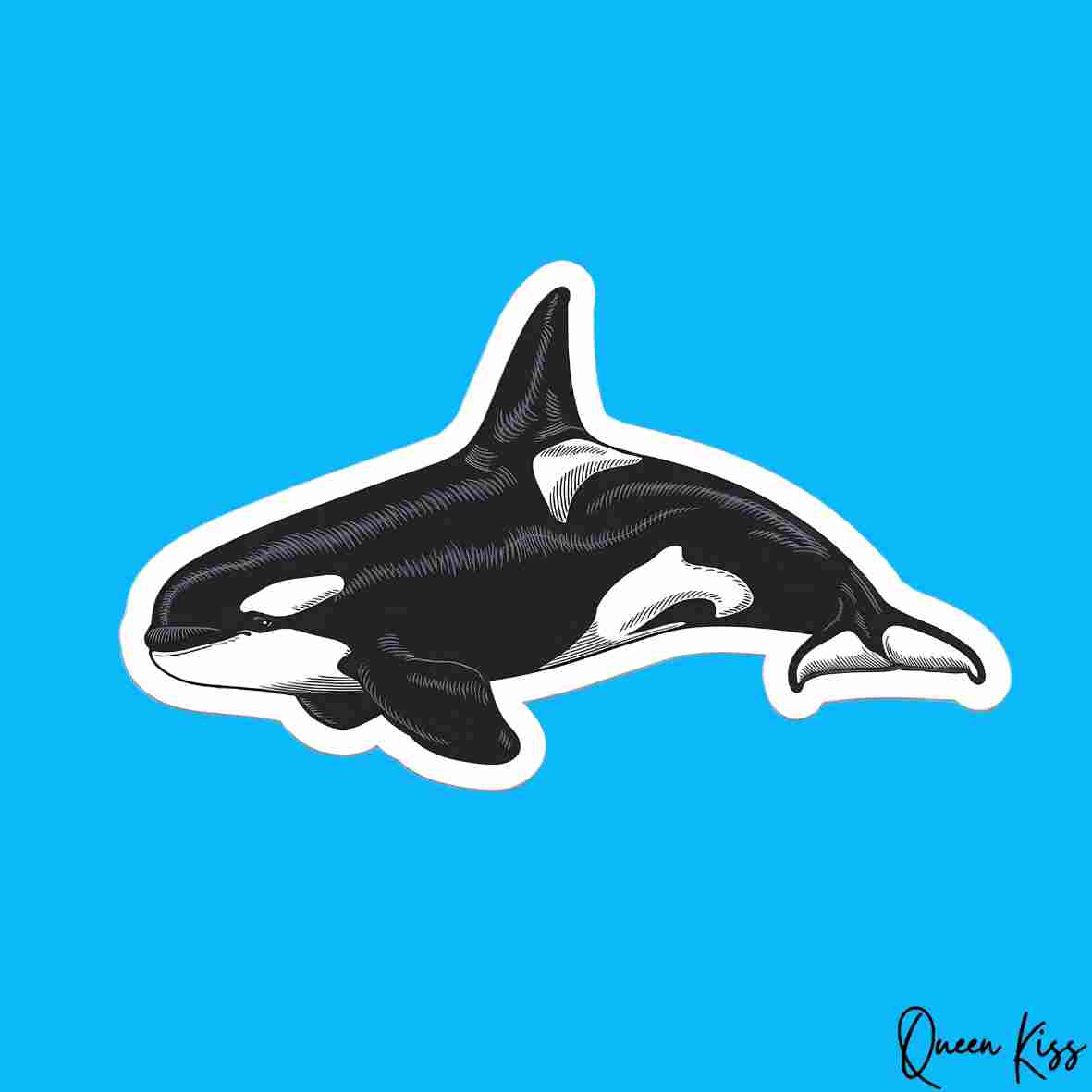Cute Whale Sticker, Waterproof Glossy Sticker, Vinyl Sticker, Laptop Phone Notebook Mug Sticker -- Whale Paradise