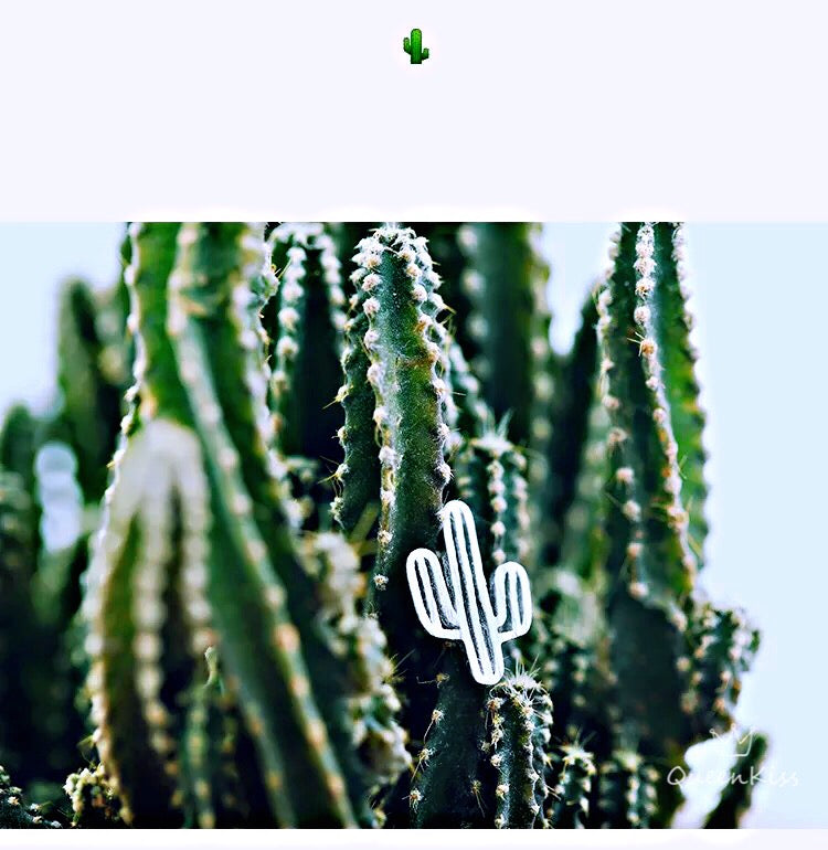 Sterling Silver 925 Stud Earrings Cute Cactus Stud Earrings Modern Studs Minimal Stud Earrings Gift for her